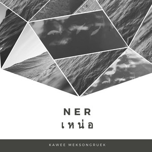 Ner