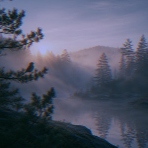 Morning Birds by Ørlund