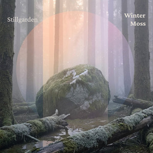 Winter Moss by Stillgarden