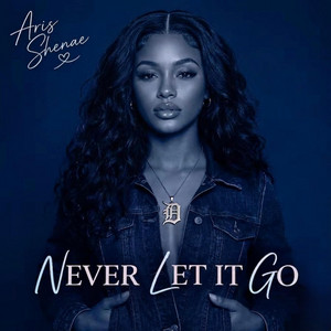 Never Let It Go by Aris Shenae