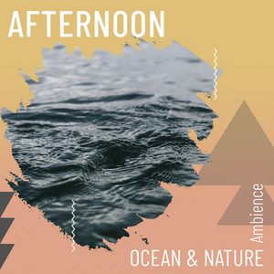 zZz Afternoon Ocean & Nature Ambience zZz album