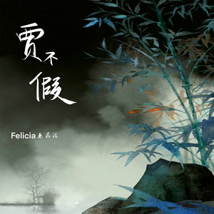 贾不假 by Felicia蔡菲凡