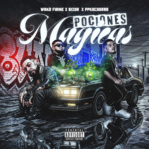 Pociones magicas by Wako firme, Bizor, PpKachorro