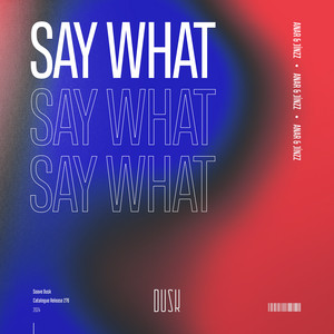 Say What by ANAR, Jínzz