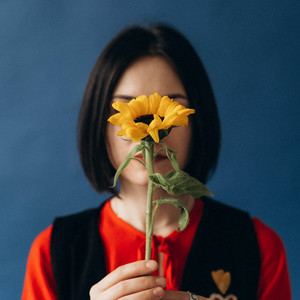 Sunflower by Rief Chocka