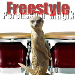 African Raindance by Freestyle Percussion Magik Album Cover