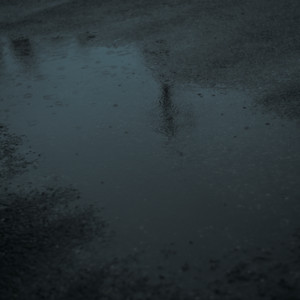 Observation Report (feat. RIME) by Ru-ru, RIME