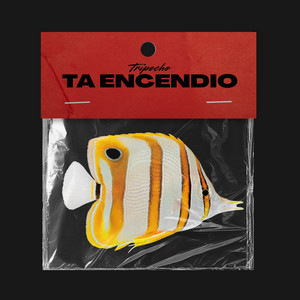 Ta encendio by tripocho