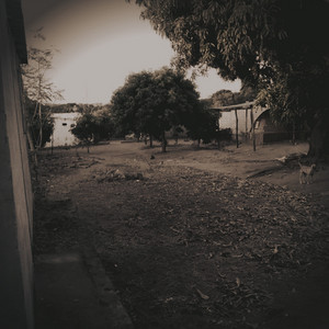 Prayed in the Dark by BROWN BEAVERS