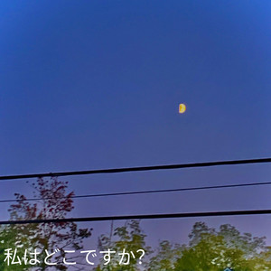 私はどこですか？