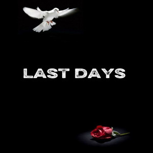 Last Days by Mille jay