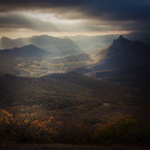 Tonydrumer - Calm Nature