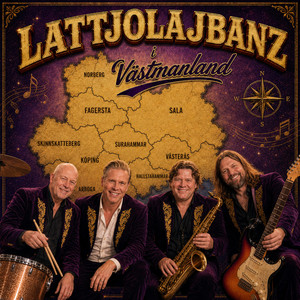 En stålkvinna från Fagersta by LATTJOLAJBANZ