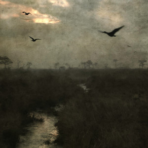 Matter by Ale Love