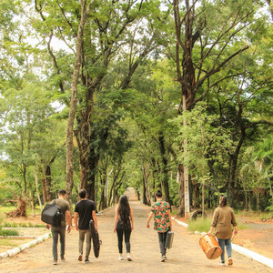 Tania Duarte - Selección de Chamamé