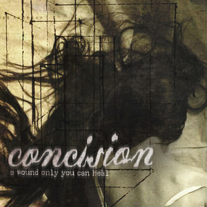 A Tragedy Embraced by Concision