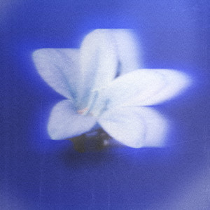 Blue Love by Sunsat