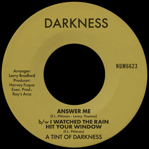 Tint of Darkness — Answer Me b/w I Watched The Rain Hit Your Window (2026)