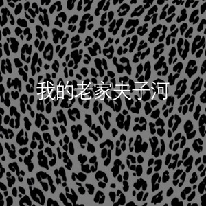 我的老家夫子河