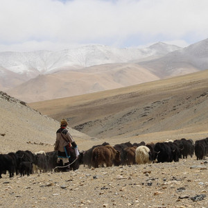 ༷མདོ་ལ་སྤང་རྒྱན་ལོ། (Tibetan Song)
