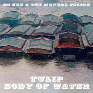 Our Mutual Friend cover