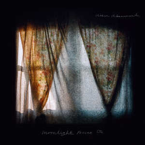 Mirrored In Plastic by Attic Abasement