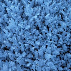 BLAU by ASKALOTL
