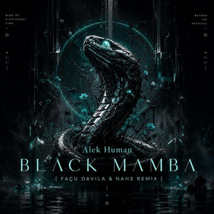 Black Mamba - FACU DAVILA DJ & NAHS Remix Radio Edit by Alek Human, Facu Davila DJ, NAHS
