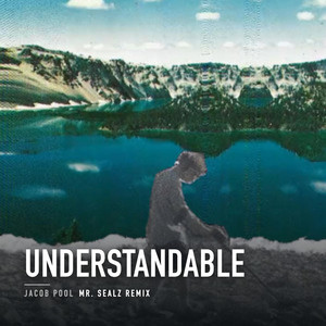 Understandable - Mr. Sealz Remix by Jacob Pool, Mr. Sealz