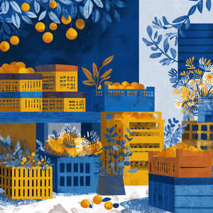 Olive & Citrus by Coco Siesta