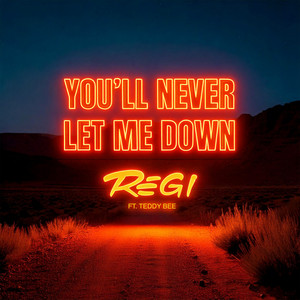 You'll Never Let Me Down cover art