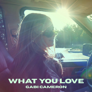 What You Love by Gabi Cameron