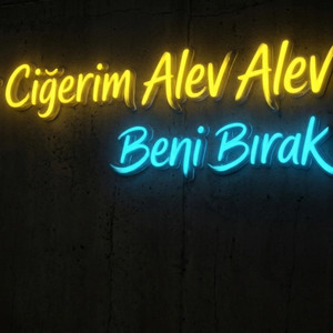 Ciğerim Alev Alev by Yadigar Music