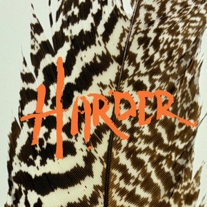 Harder by Kind Hearted Strangers