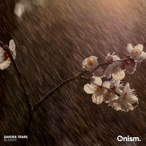 Sakura Tears. by BLINKER