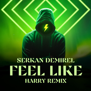 Feel Like (Harry Remix)