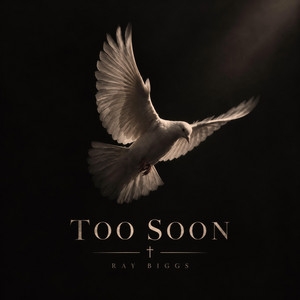 Too Soon by Ray Biggs