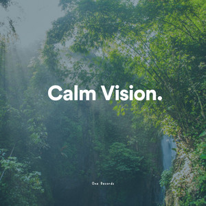 Calm Vision album