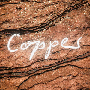 Copper by ERLYWOO