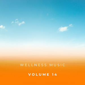 Wellness Music Vol. 14