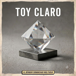 toy claro by soni moli