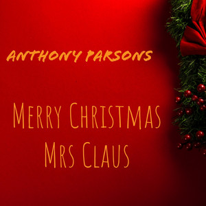 Merry Christmas Mrs Claus