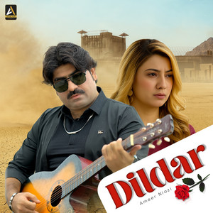 Ameer Niazi - Dildar
