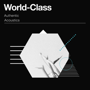 zZz World-Class Authentic Acoustics zZz - Album by Asian