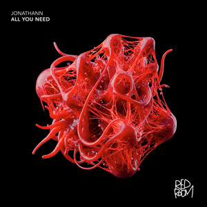 All You Need cover art