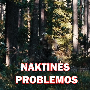 NAKTINĖS PROBLEMOS