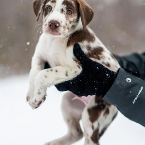 Alta Tensión en la hiel rmx by EL ADINERADO DEL MAMBOW