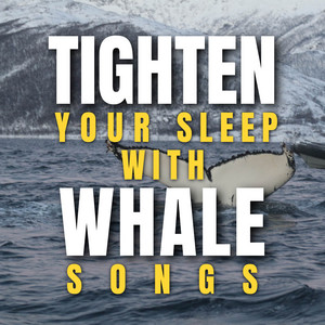 Tighten Your Sleep with Whale Songs album