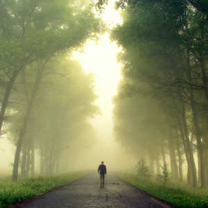 Misty Noon