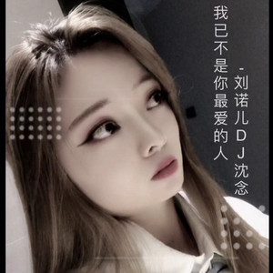 我已不是你最爱的人（DJ沈念版） by DJ沈念, 刘诺儿